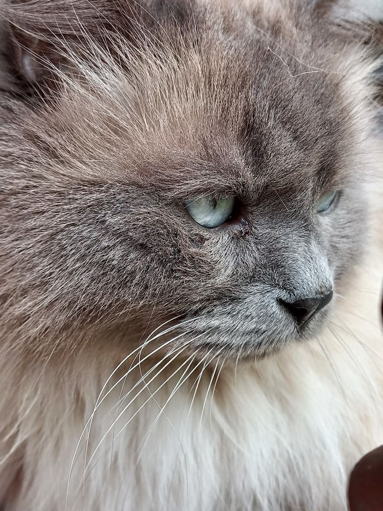 Photograph by Зоя