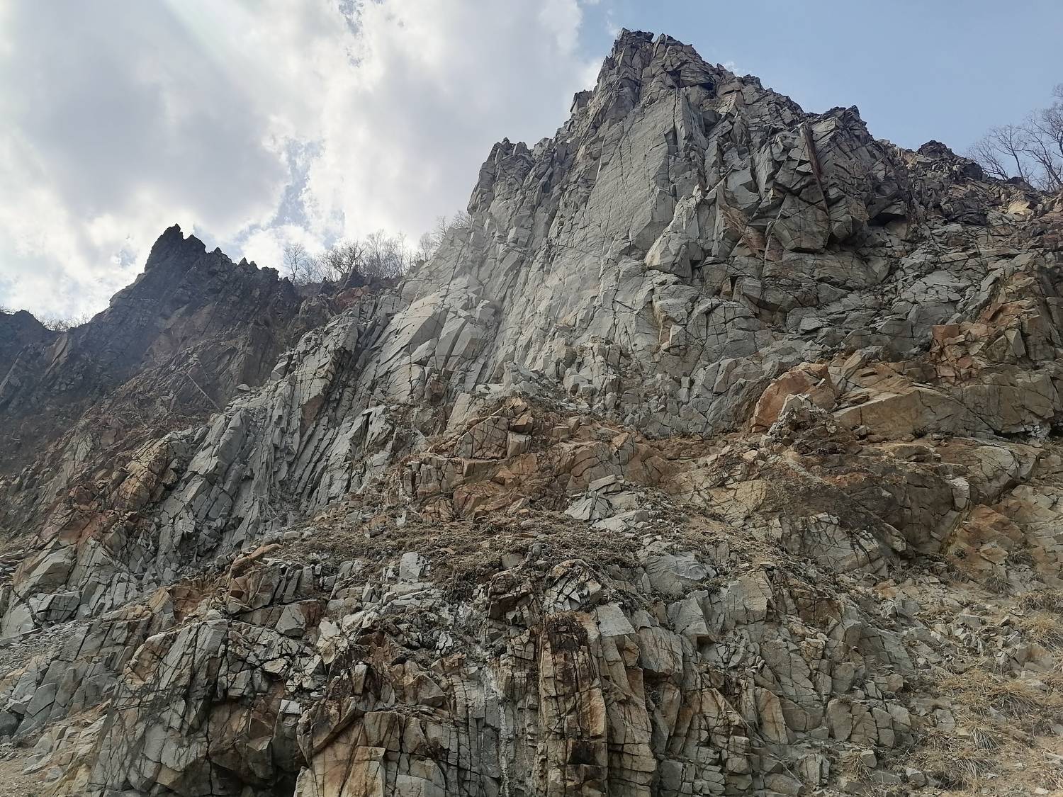 Photo #7550172