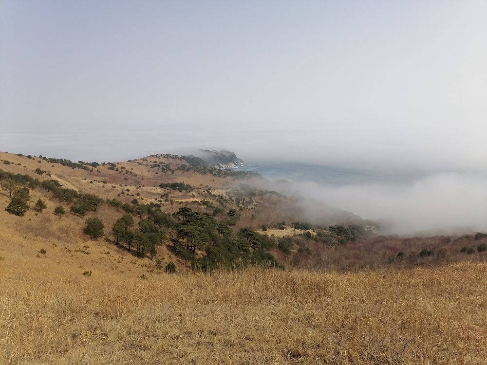 Photo #7550179