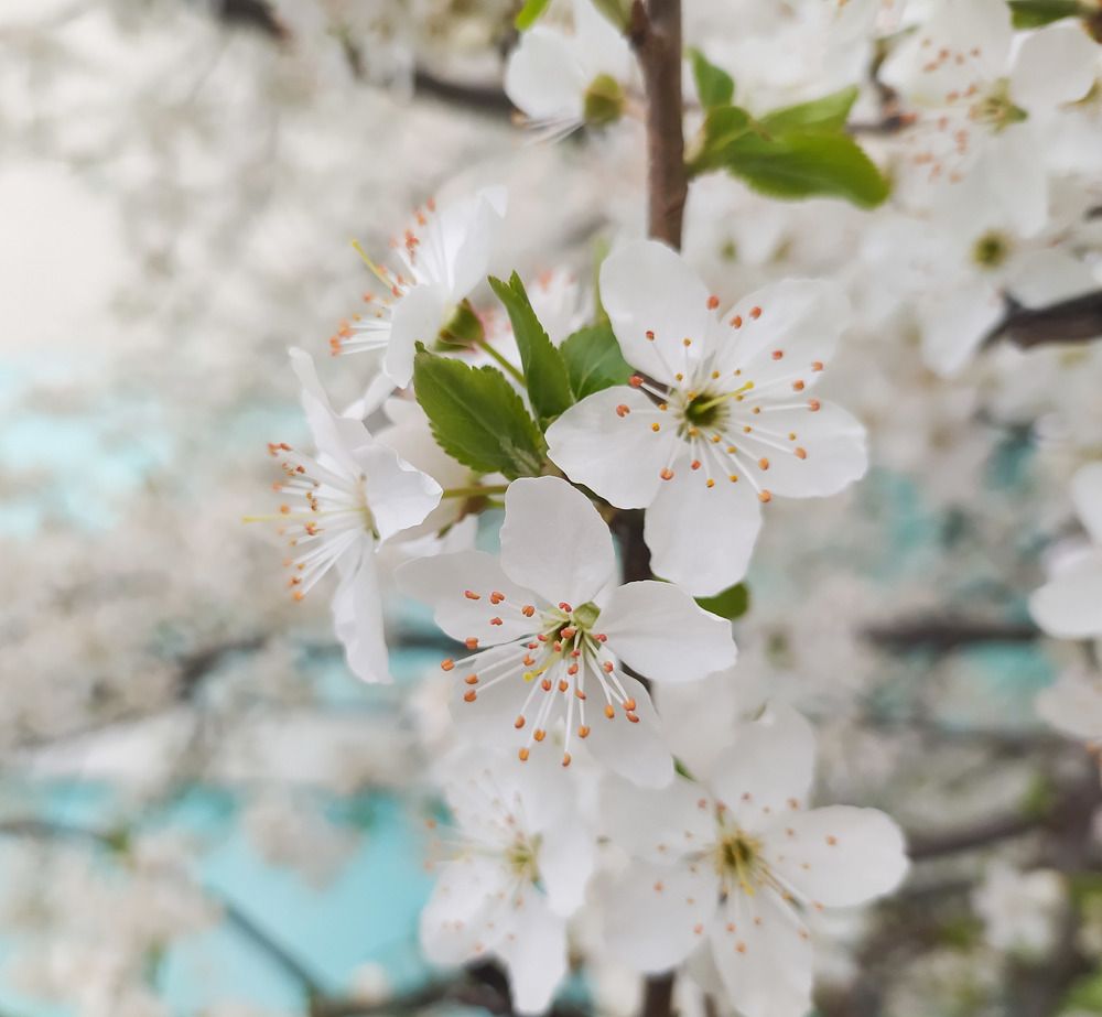 Photograph by Ирина Половцева