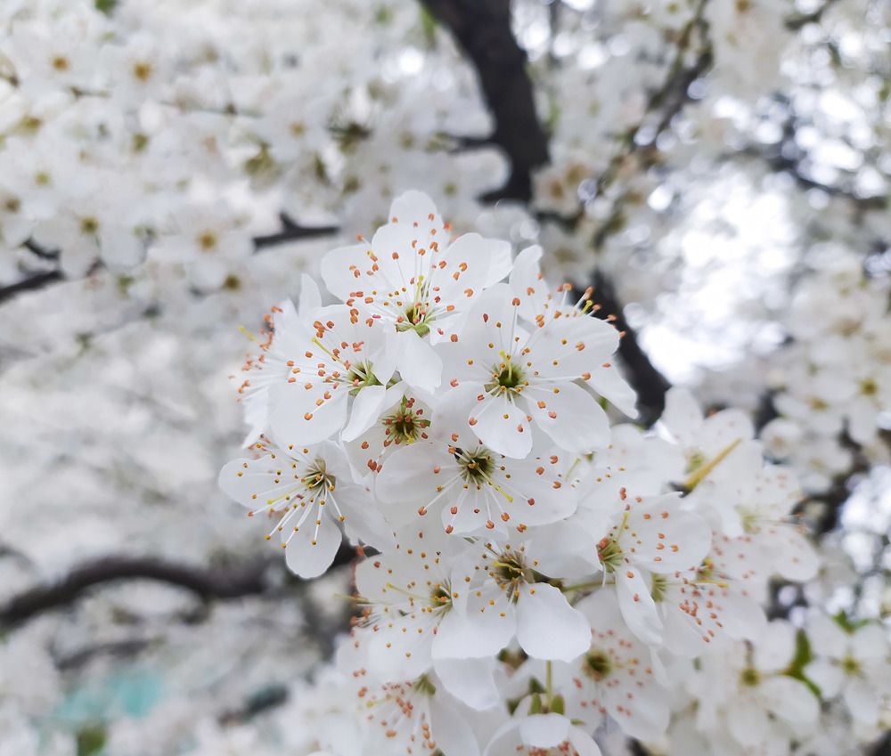 Photograph by Ирина Половцева