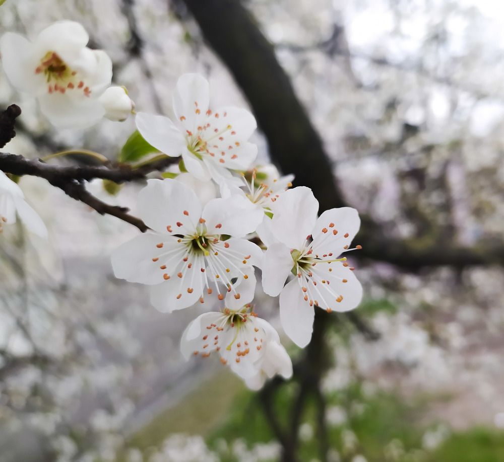 Photograph by Ирина Половцева