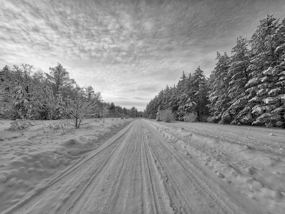 Photograph by Ильдар Гараев