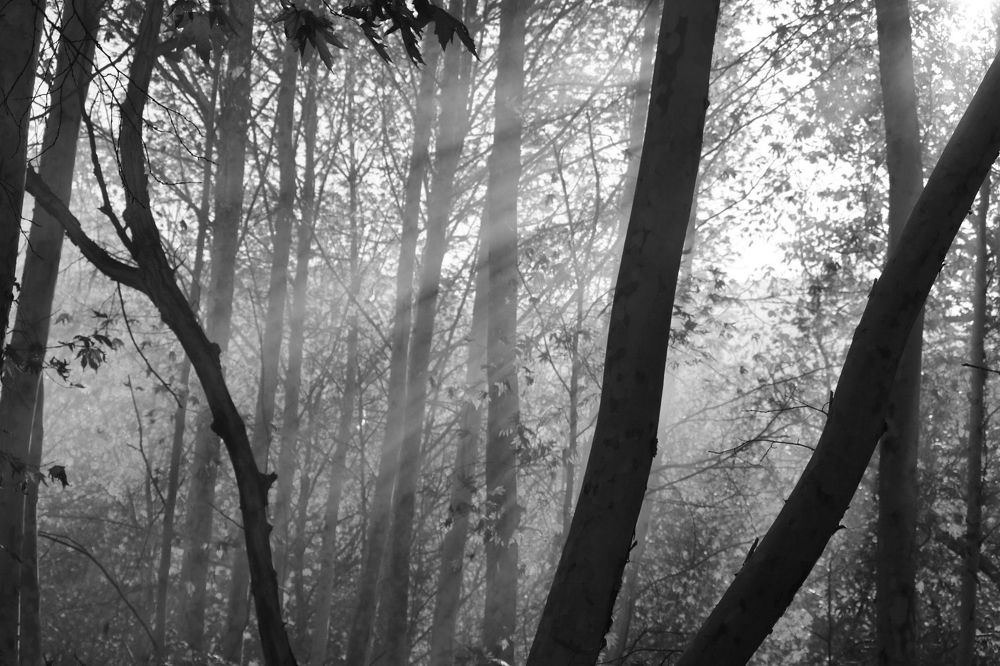 Photograph by Babak Akvan