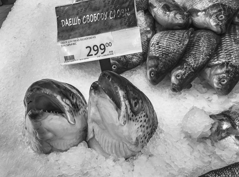 Photograph by Александр Мезенцев