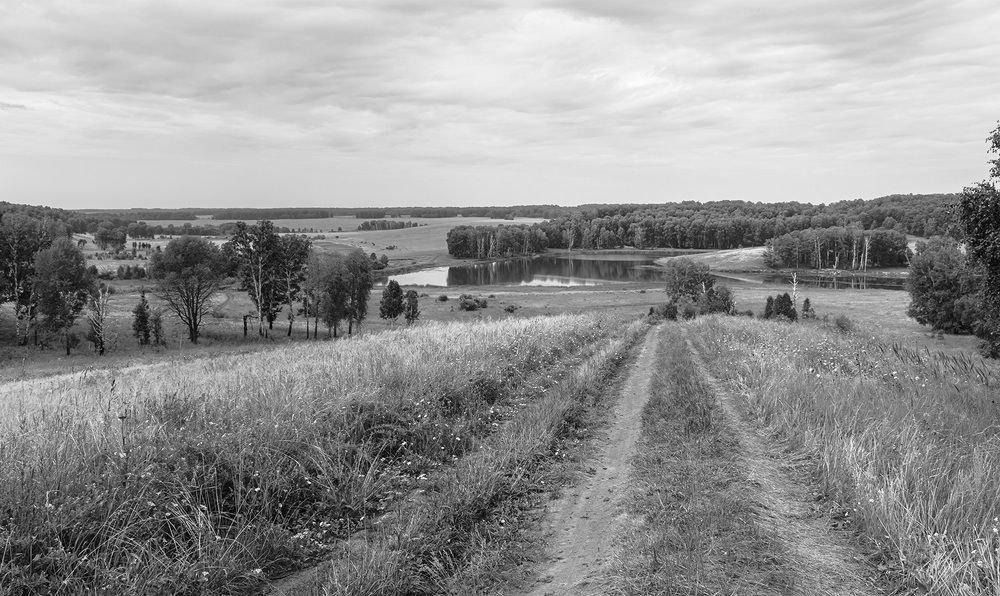 Photograph by Александр Мезенцев