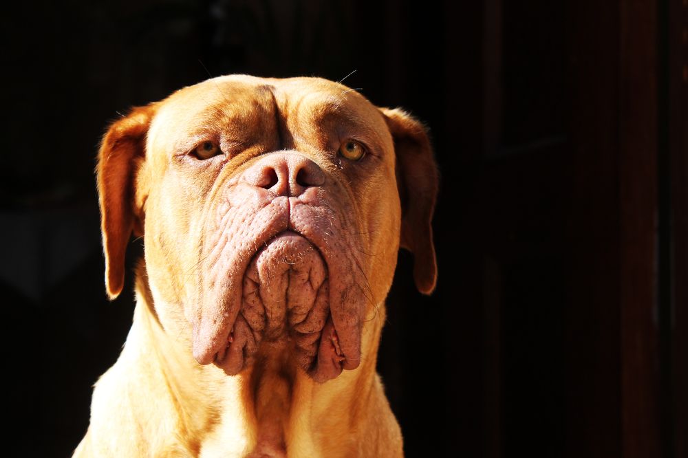 Фотография автора César Carrion