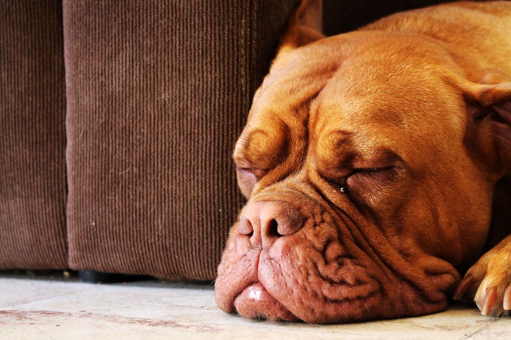 Фотография автора César Carrion