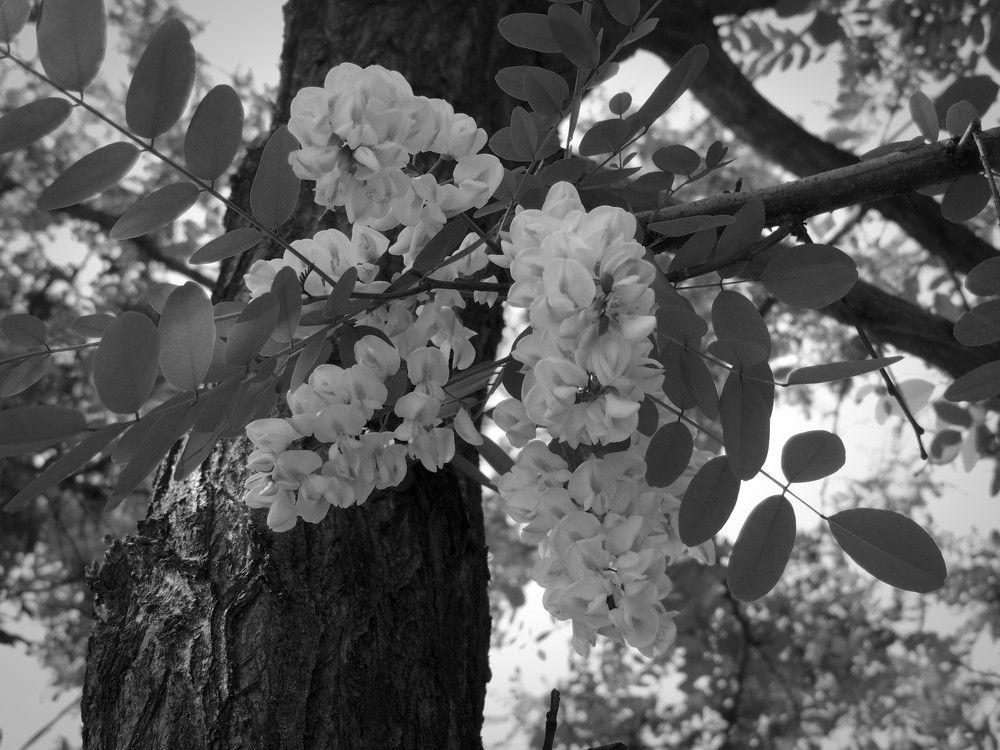 Photograph by Аспан