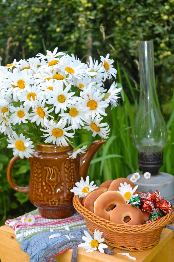 Фотография автора Марина Гусева