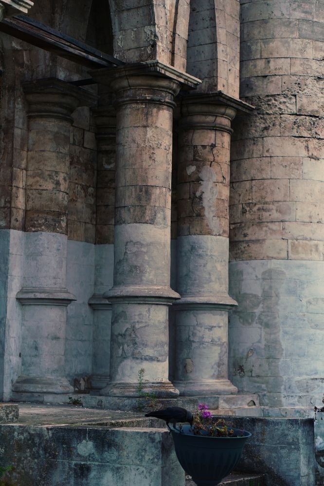 Photograph by Viktoria Vavilkina