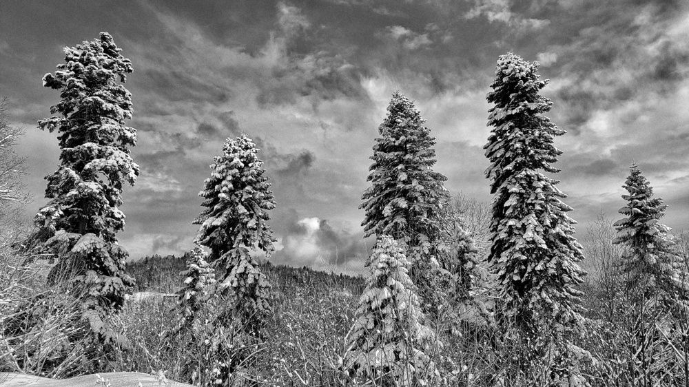 Photograph by Сергей Кравченко