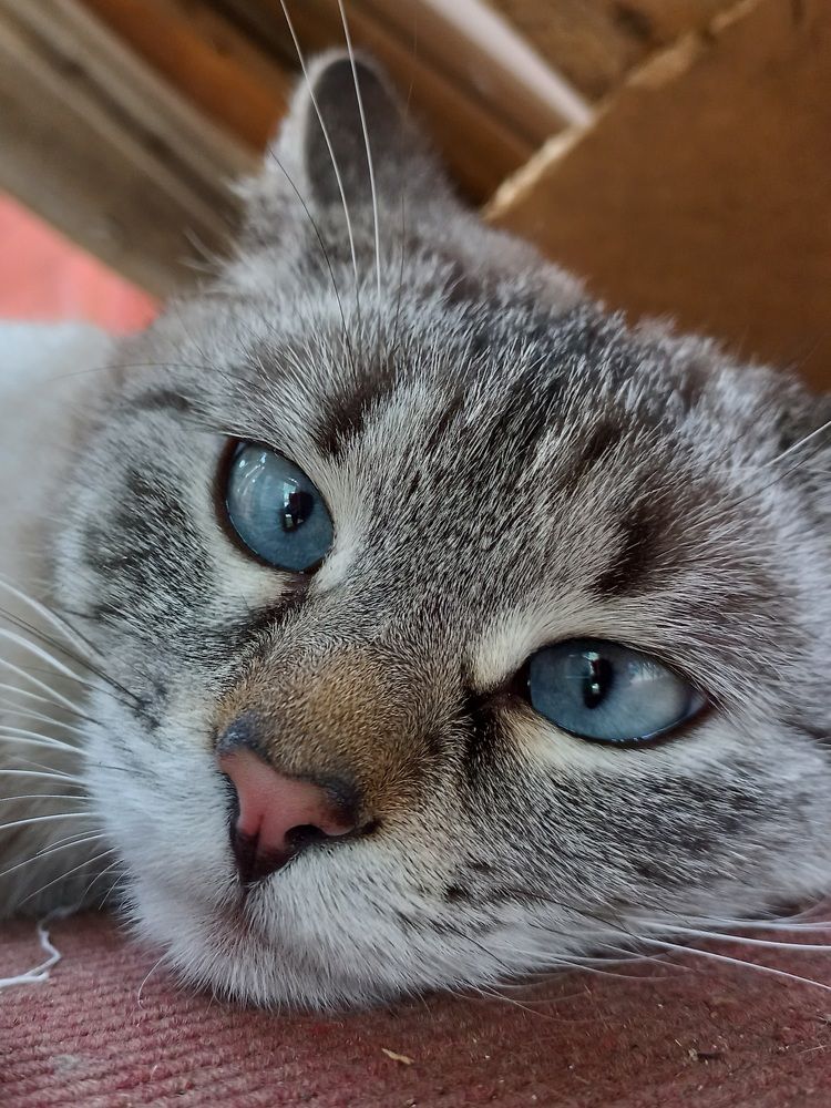 Photograph by Зоя Кулько