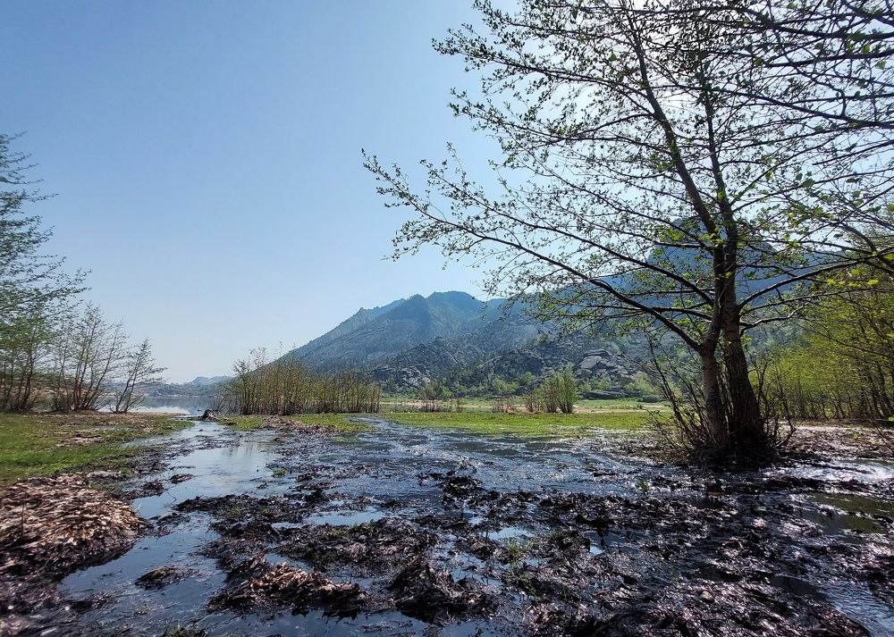 Photograph by Анастасия Койчина