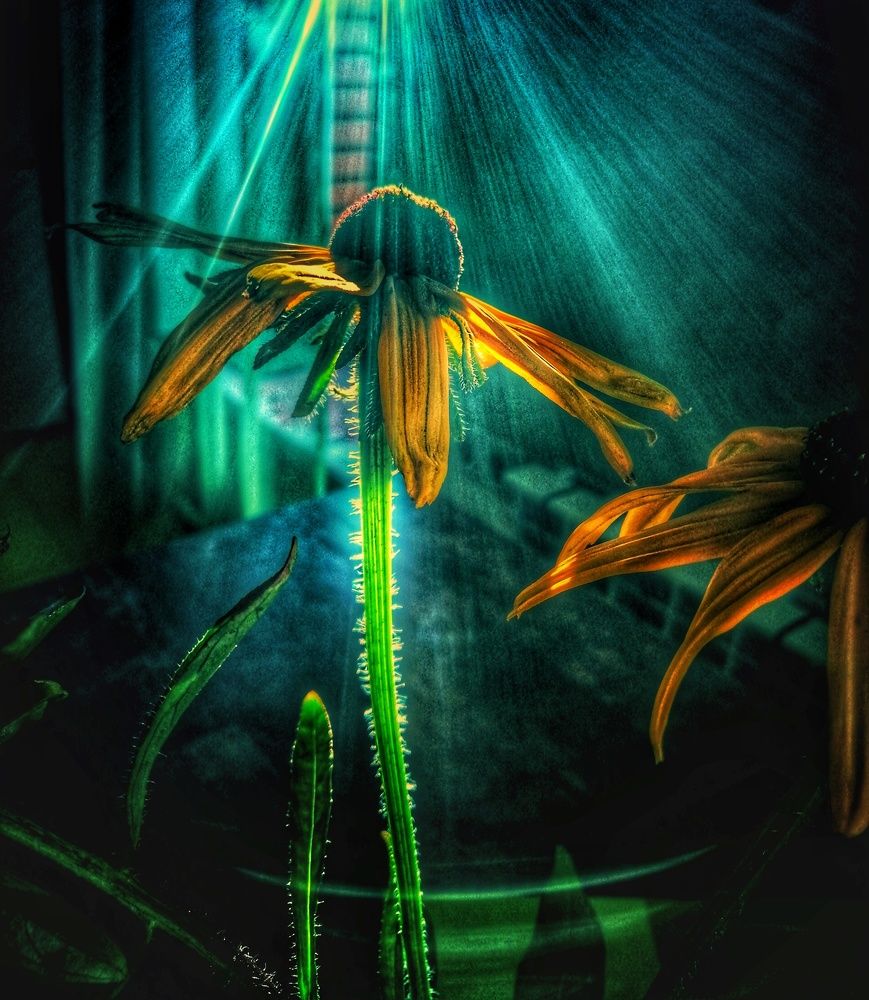 Photograph by Михаил Логвиненко