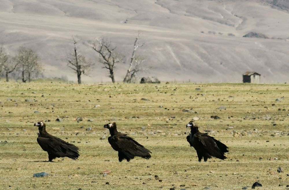 Photograph by Юлия Тельпова