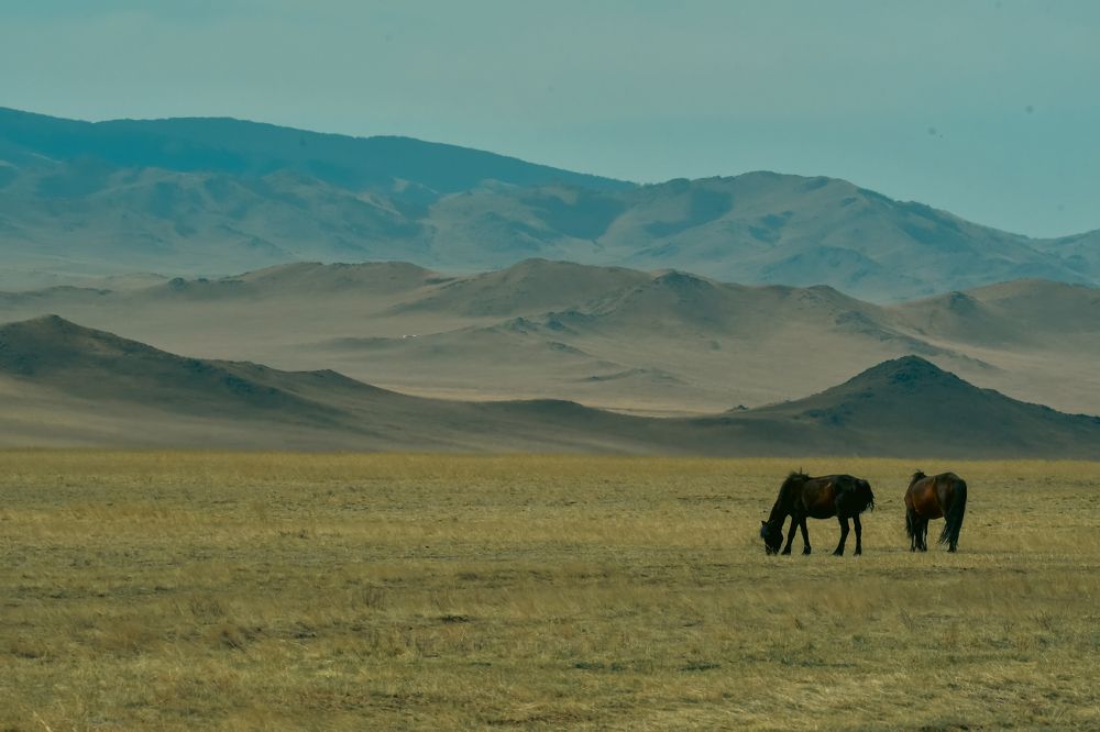 Photograph by Юлия Тельпова