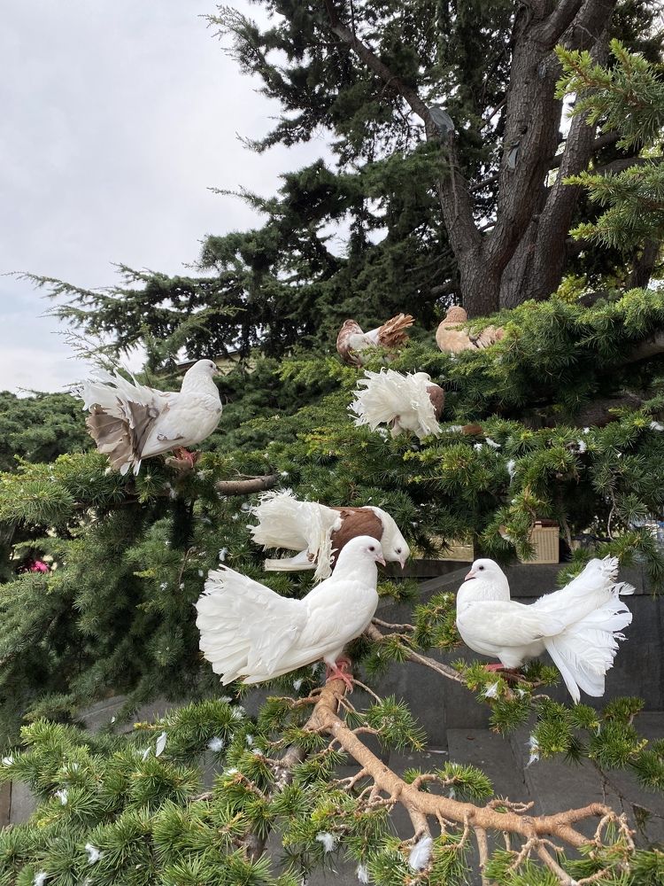 Photograph by Марина