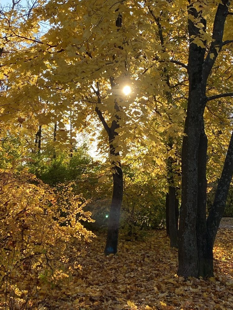 Photograph by Марина