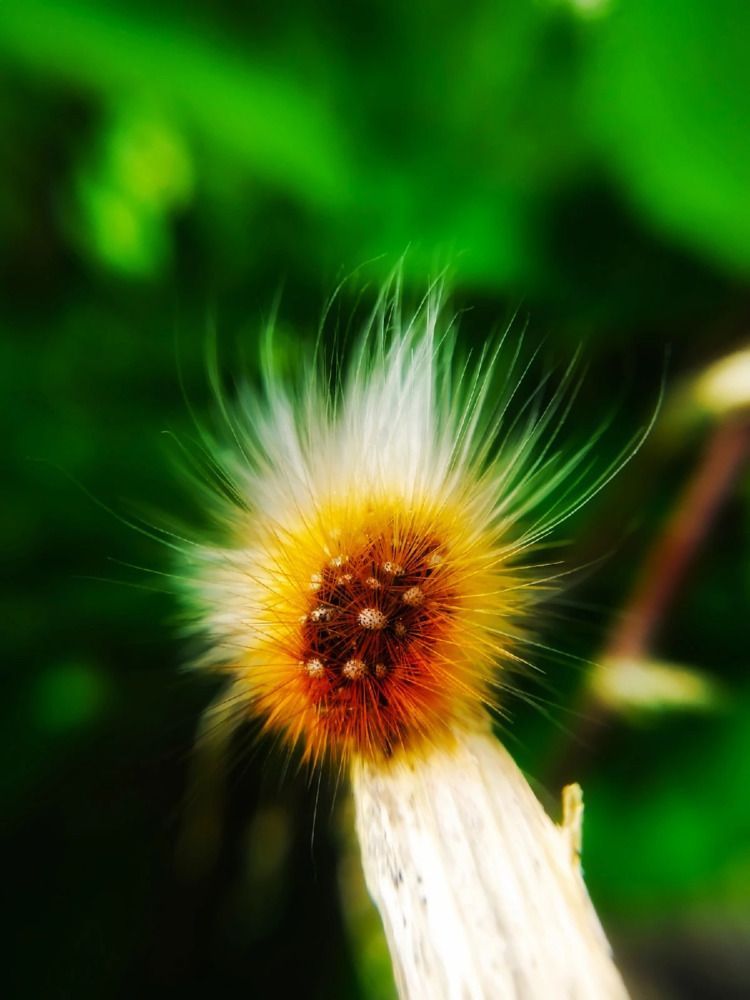 Photograph by Любовь Коровацкая