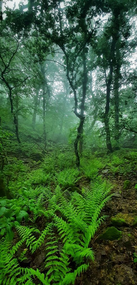 Photograph by Андрей Прокопенко