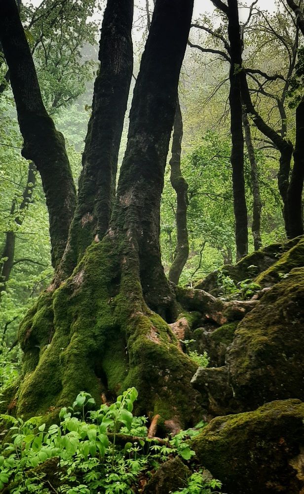 Photograph by Андрей Прокопенко