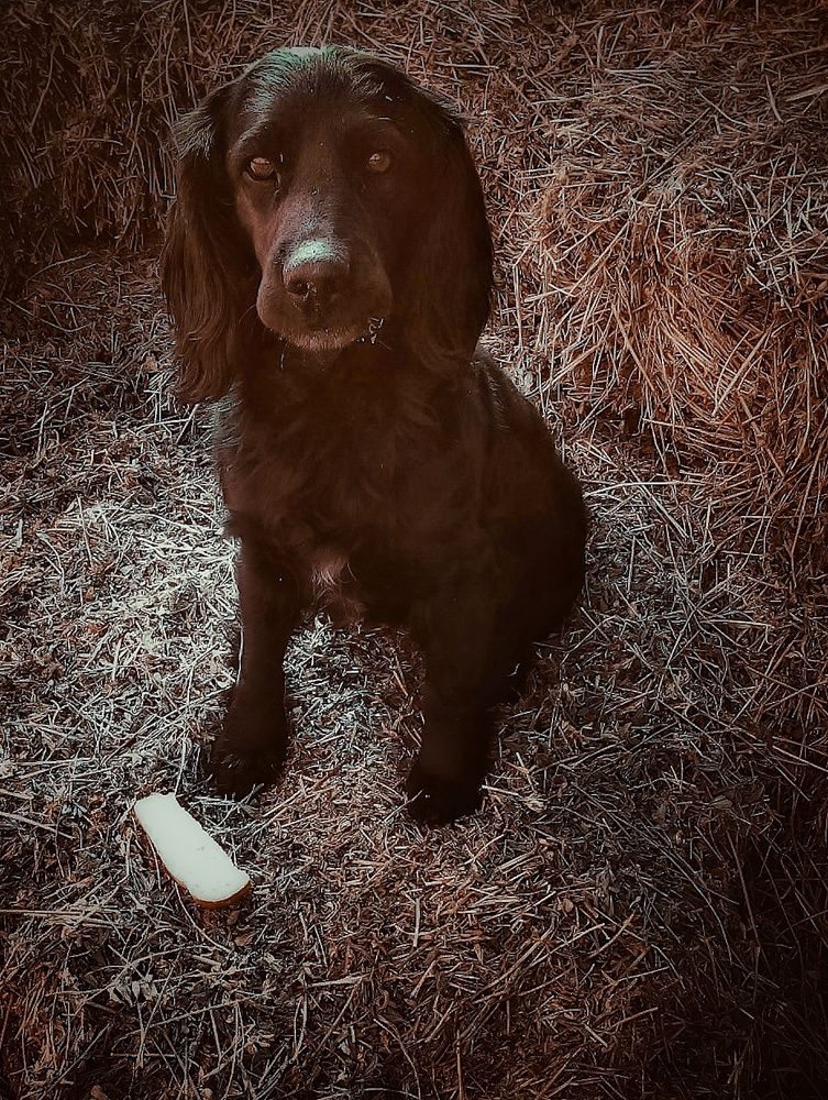 Photograph by Нина Москалёва