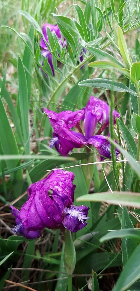 Photograph by Андрей Прокопенко