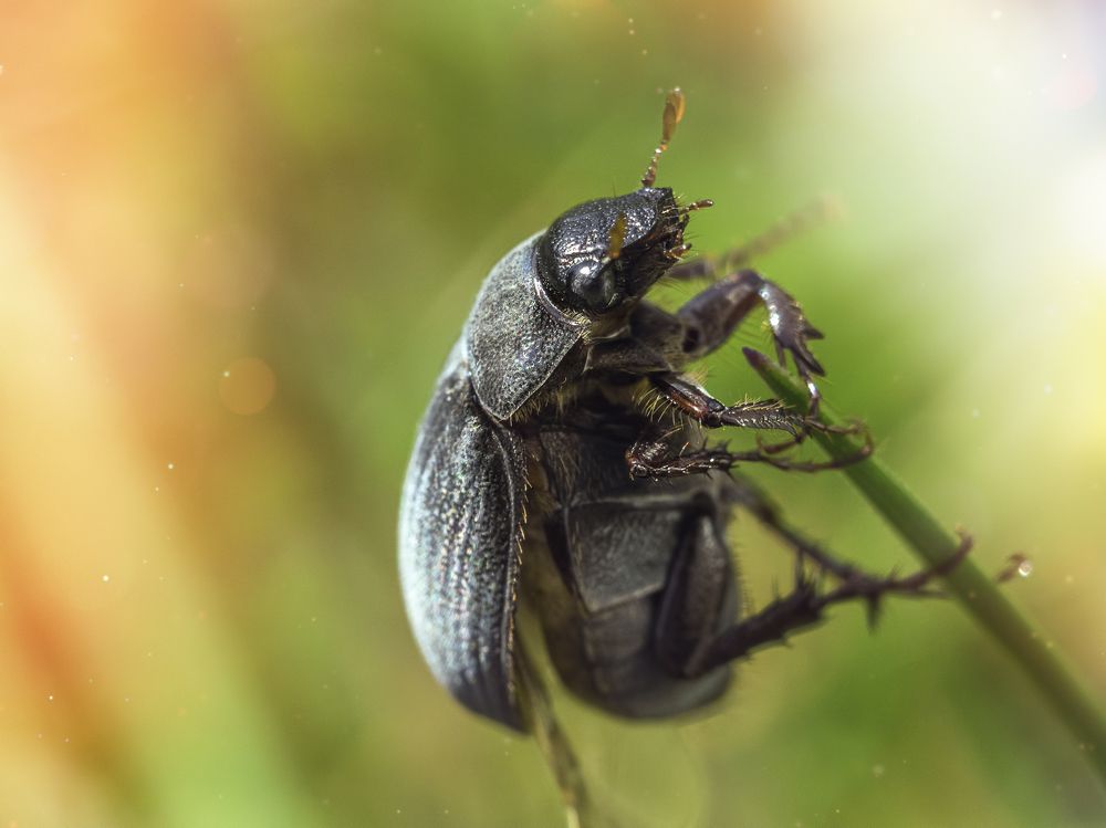 Photograph by андрей гусев