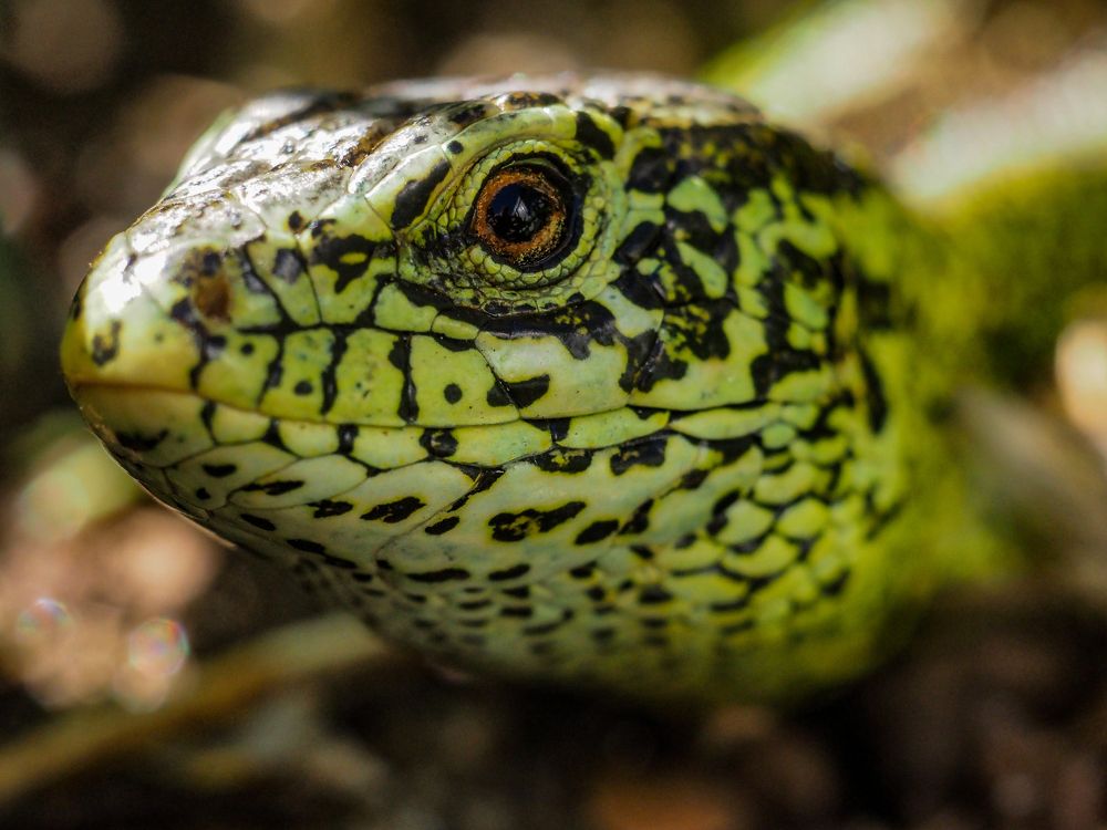 Photograph by андрей гусев