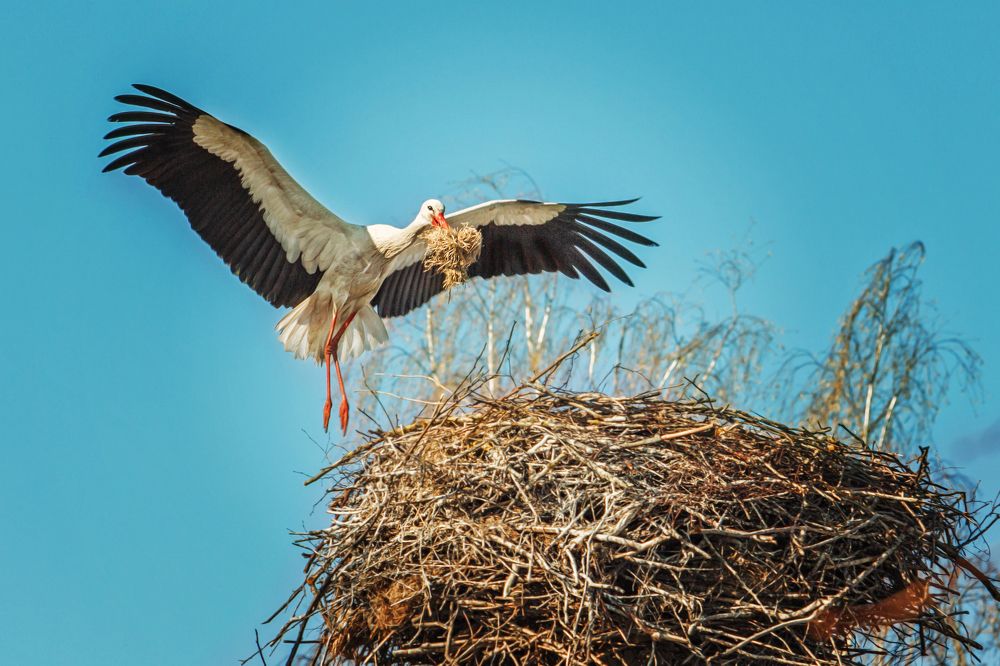Photograph by Татьяна Семенова