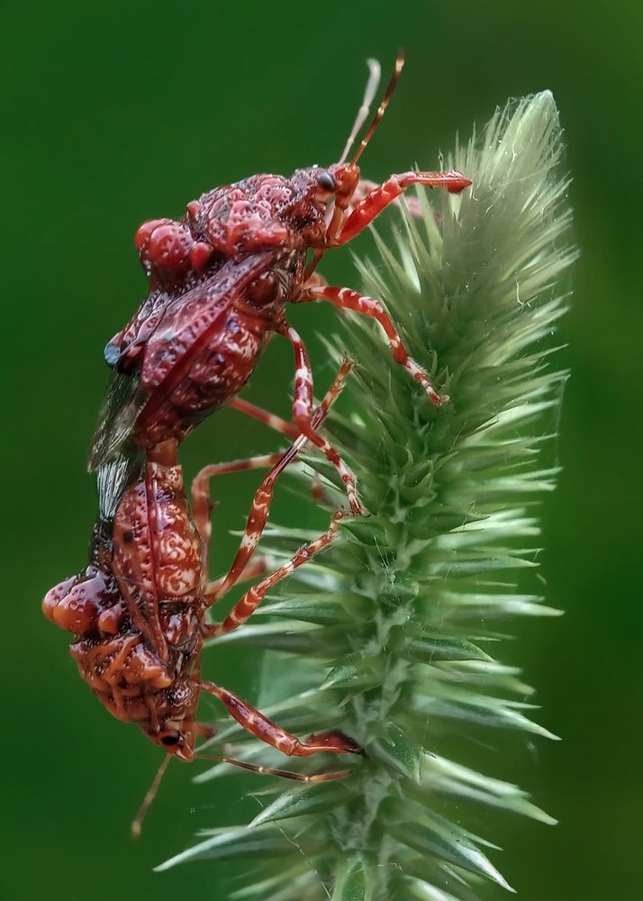 Photograph by Sampad das