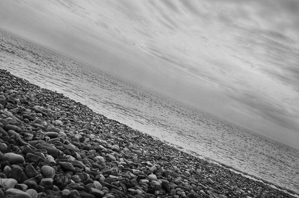 Фотография автора Ольга Шкотова