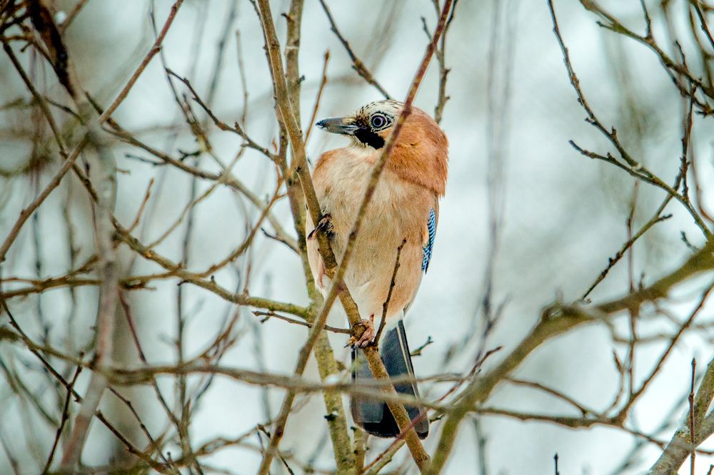 Photograph by Татьяна Семенова