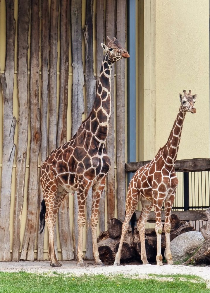 Photograph by Ирина Дубицкая