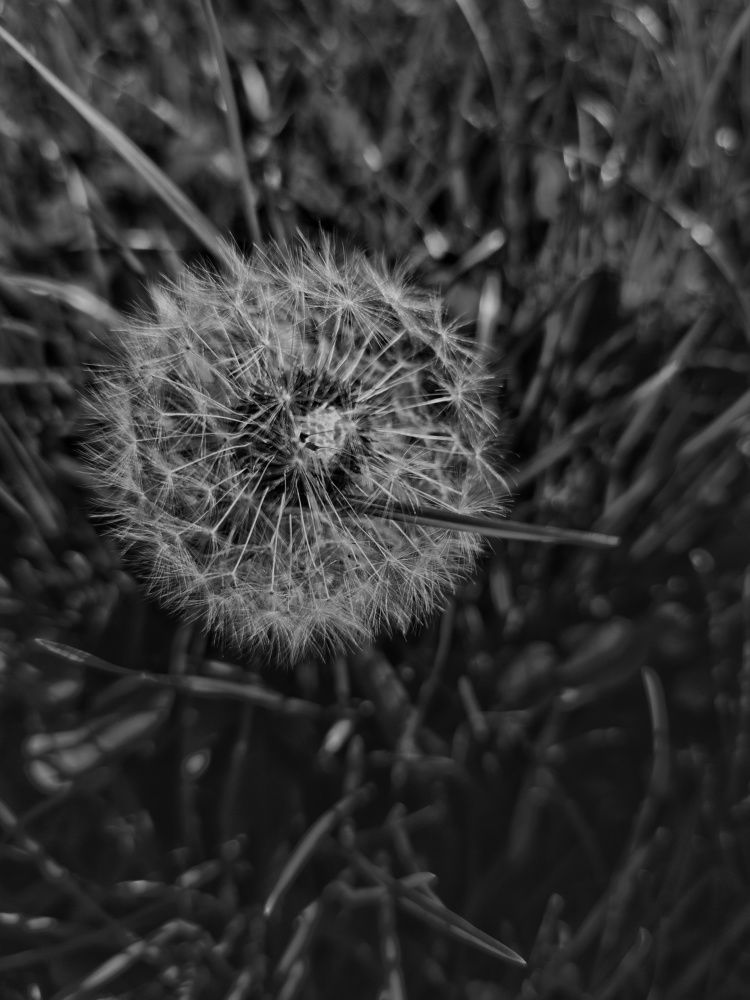 Photograph by Анна