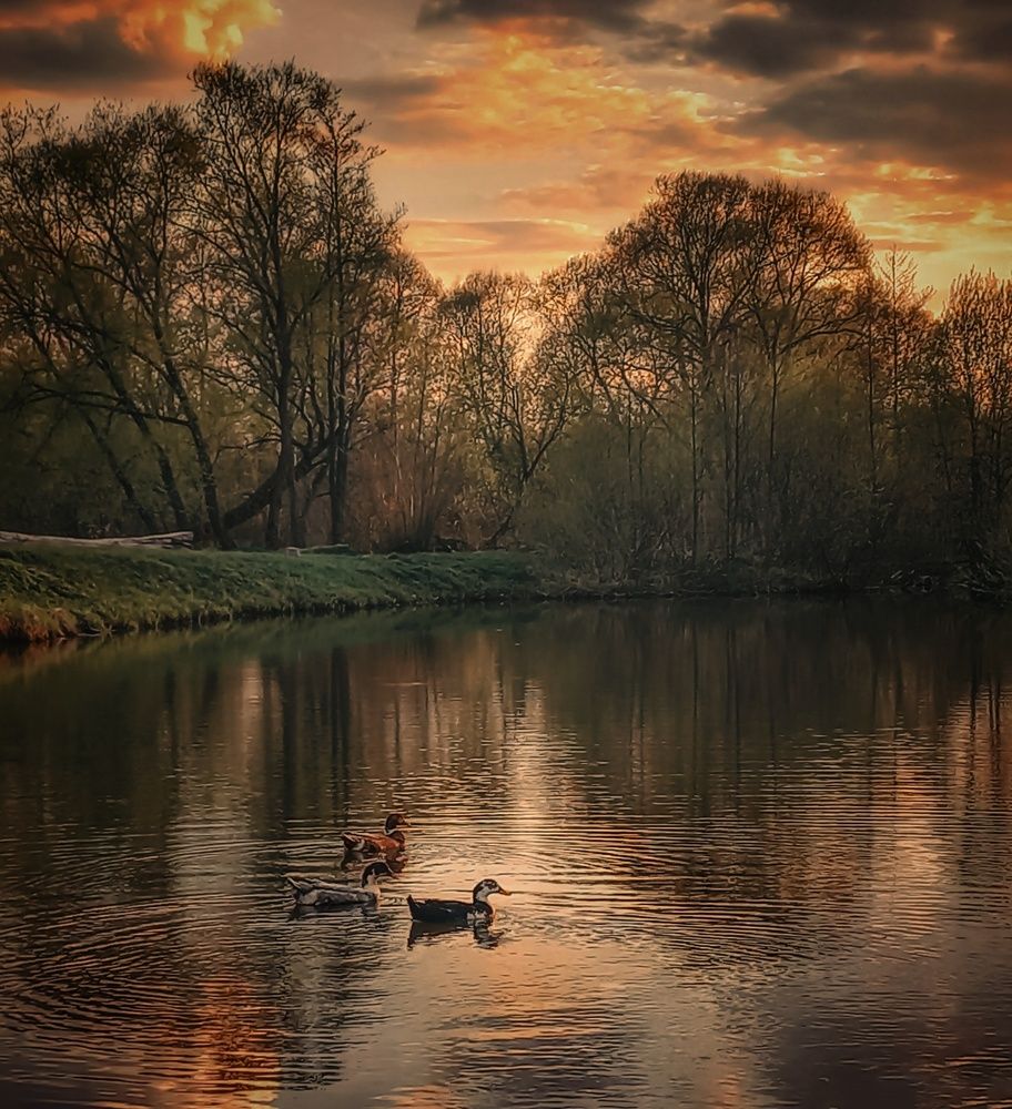 Photograph by Ольга Бородина