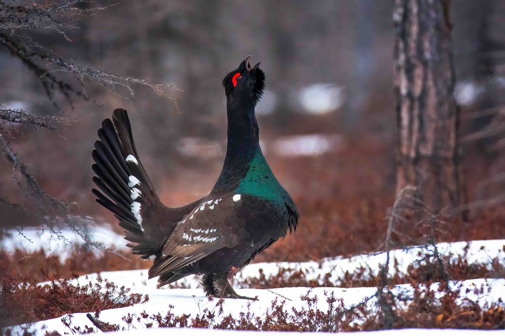 Photograph by Власов Егор