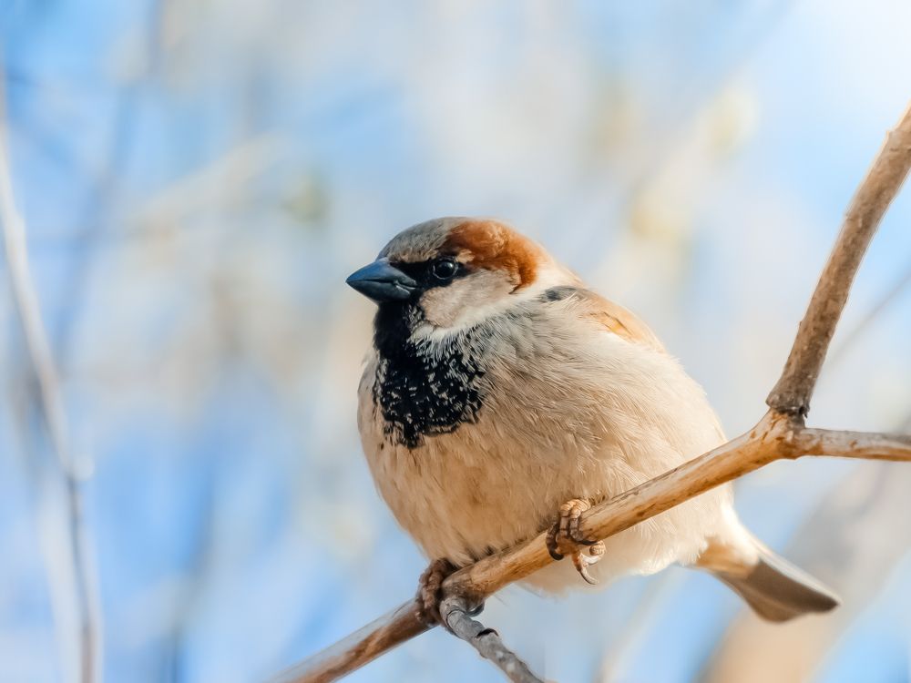 Photograph by Артем Грачев