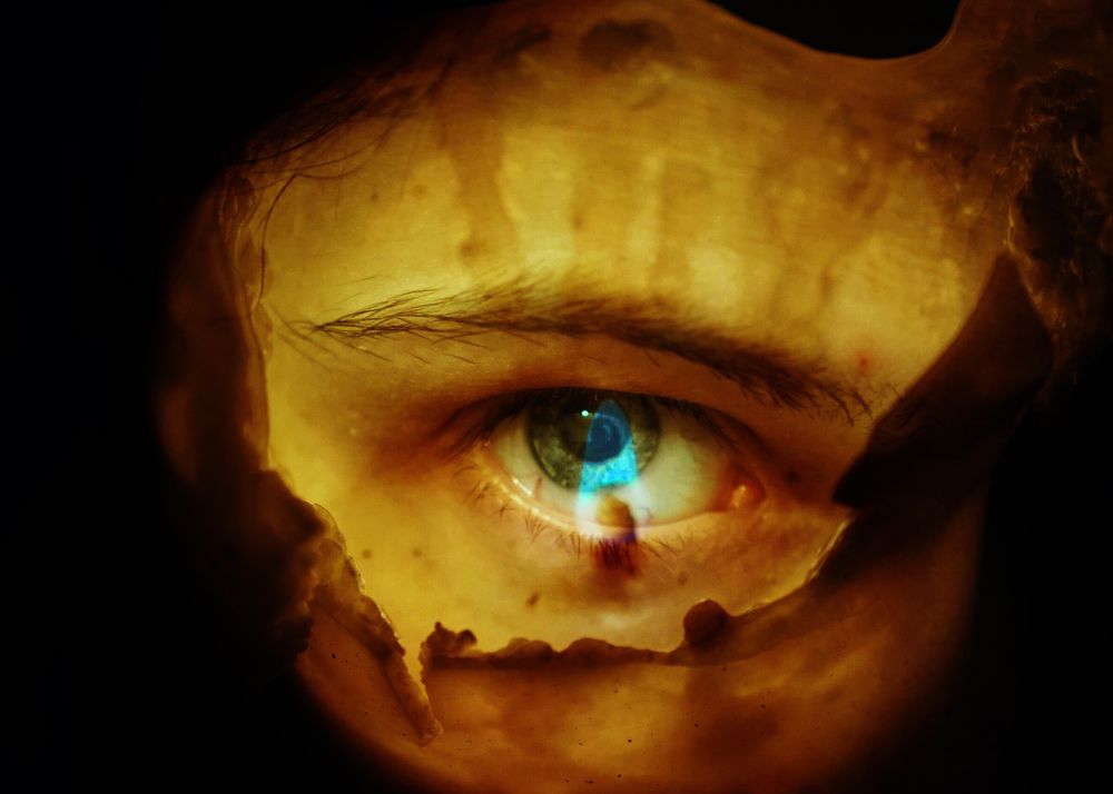 Photograph by Irina Tischer