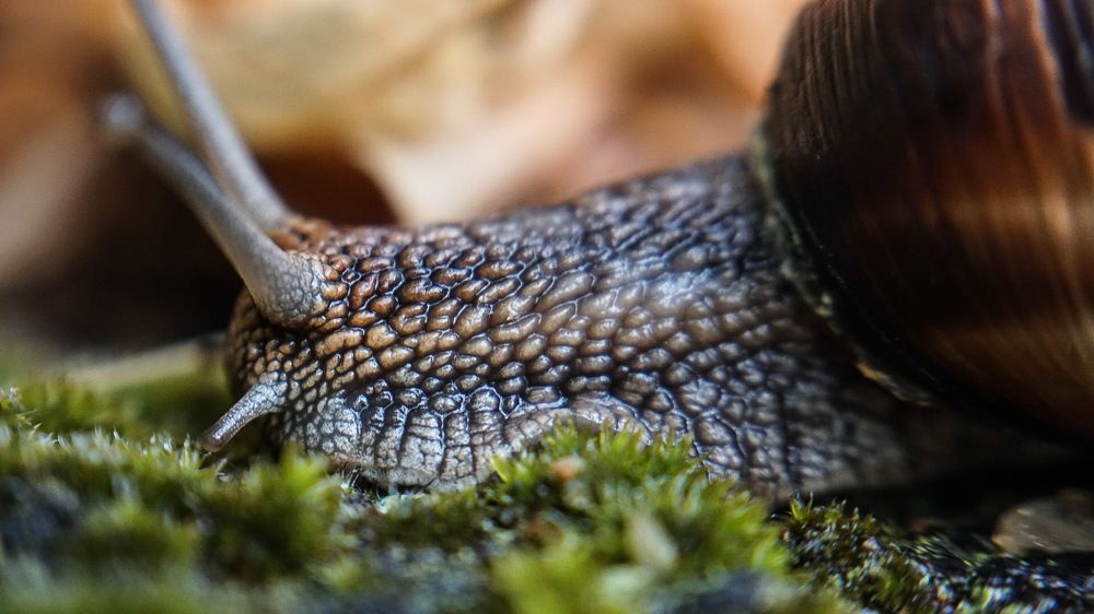 Photograph by Кирилл Барсуков