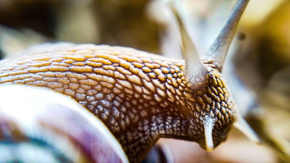 Photograph by Кирилл Барсуков