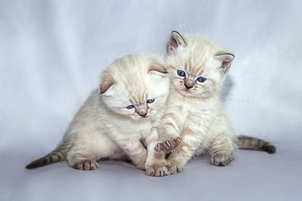 Photograph by Elena Gebert