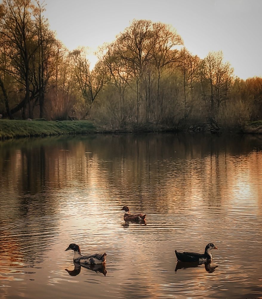 Photograph by Ольга Бородина