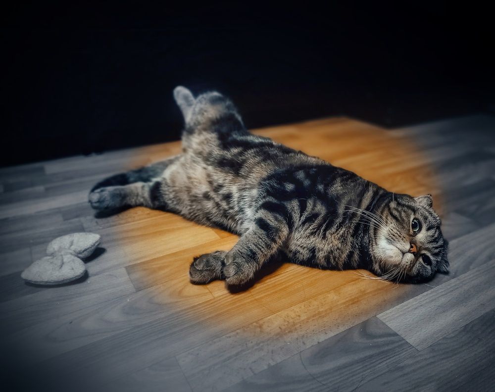 Photograph by Ольга Бородина