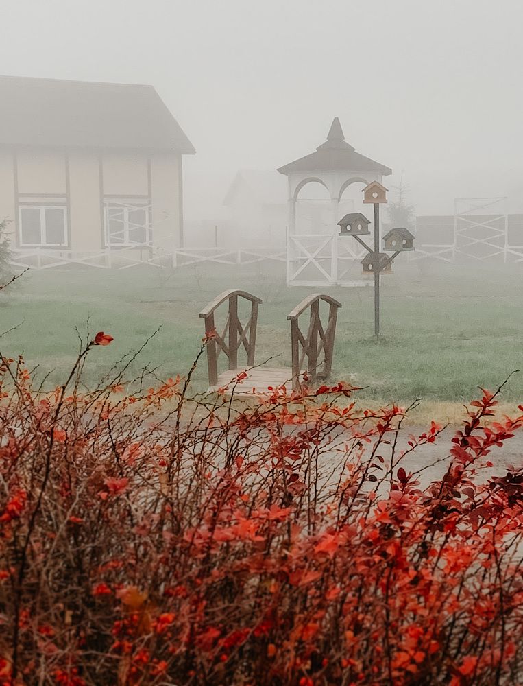 Photograph by Евгения Д