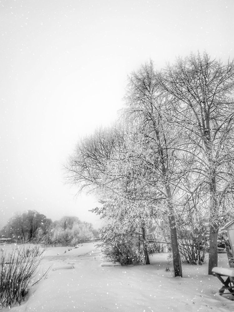 Photograph by Ольга Бородина