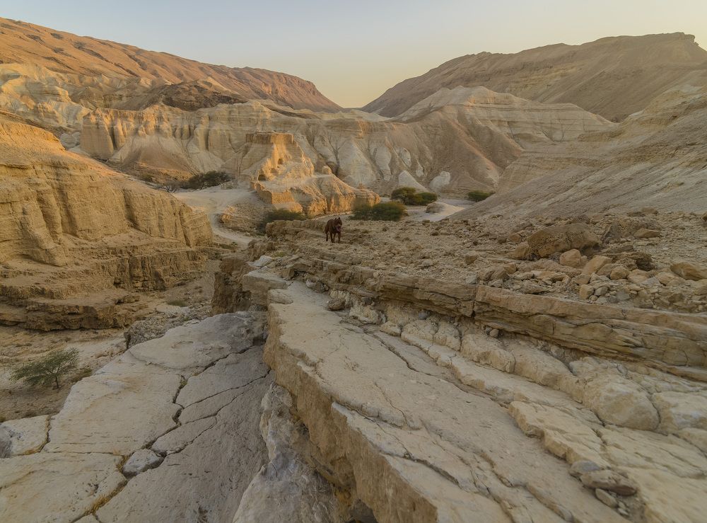 Photograph by Иван Коляда