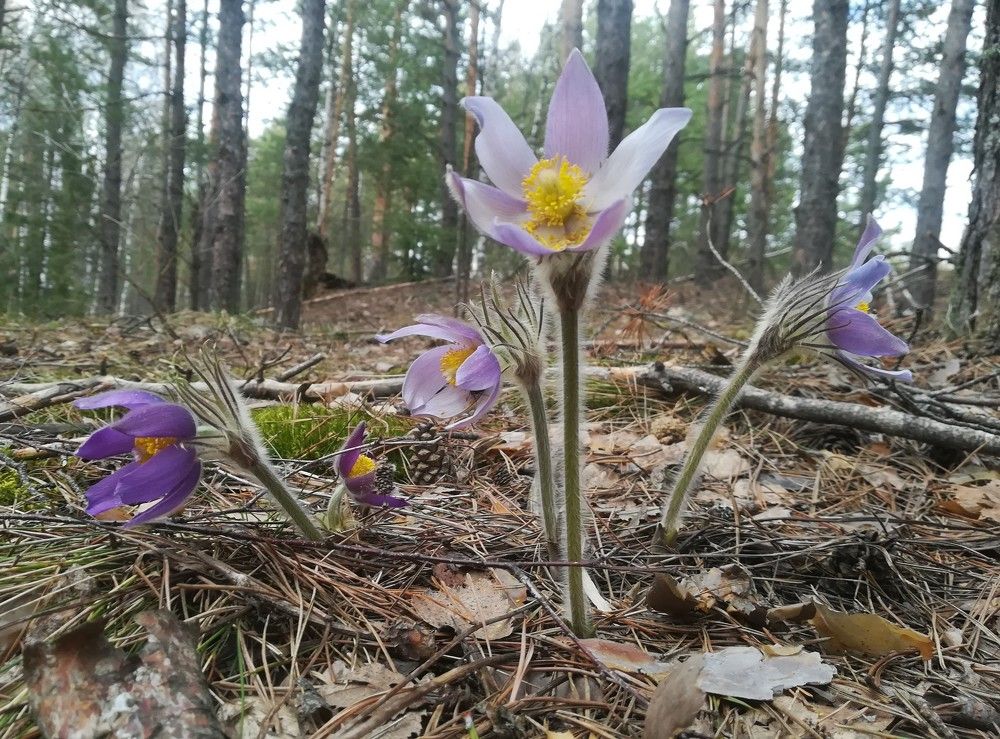 Photograph by Светлана Батурова