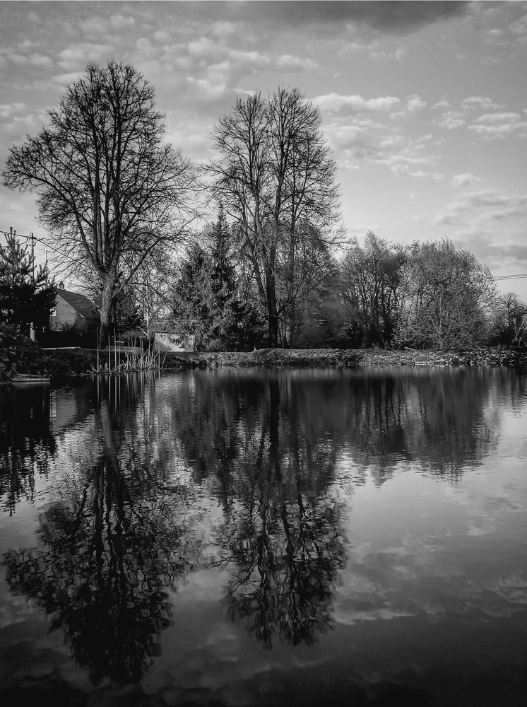 Photograph by Ольга Бородина